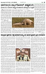 page-4